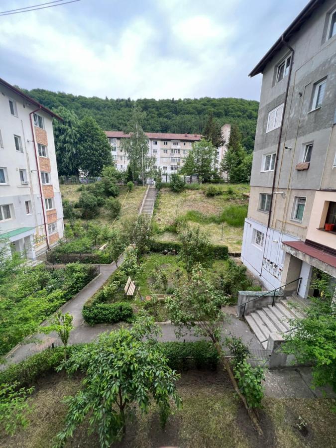 Apartament The Retreat Sinaia Zewnętrze zdjęcie